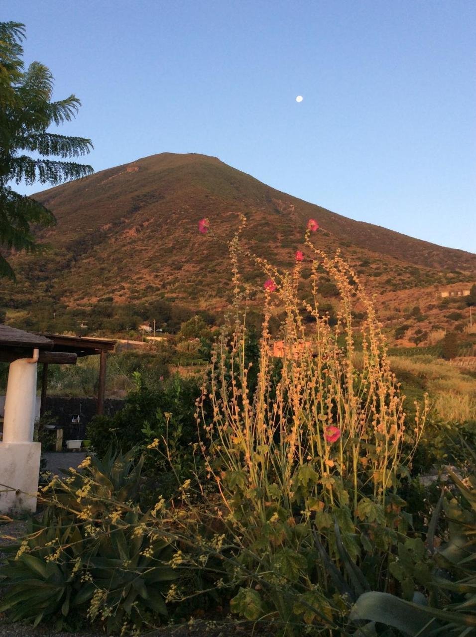 Casa Vacanze Dell'Avvocato Hotel Malfa  Bagian luar foto