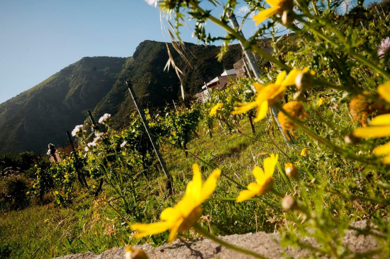 Casa Vacanze Dell'Avvocato Hotel Malfa  Bagian luar foto